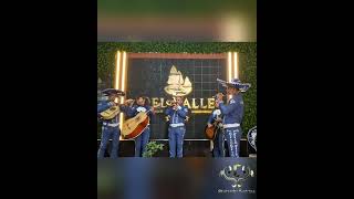 Cien años Canta Gerson Moronta con Mariachi CatrinaS de Douglas Flores [upl. by Ttej]