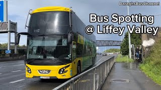 Buses  Liffey Valley  800 Subscriber Special ￼ [upl. by Nered]