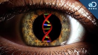 Can Gene Therapy Cure Blindness [upl. by Svirad580]