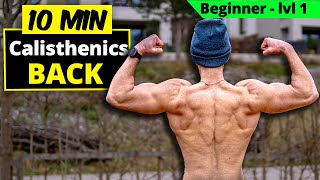 10 min Calisthenics BACK WORKOUT total Beginner [upl. by Nagey]