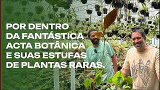 O MAIOR produtor de plantas raras do Brasil a fantástica Acta Botânica [upl. by Fabyola]