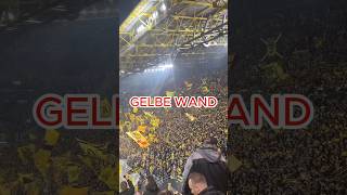 Dortmund vs Bochum Gelbe Wand sportiv sports shorts fußball [upl. by Aplihs959]