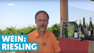 Werner erklärt Wein Riesling [upl. by Novets]