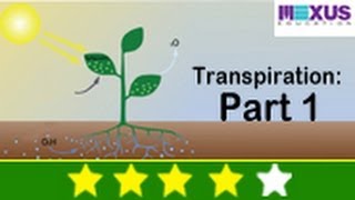 Science Experiments  Learn About Transpiration Part I [upl. by Bethezel694]