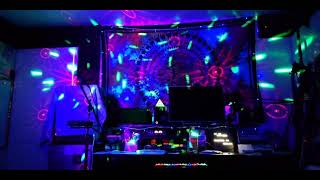 Chauvet DJ Swarm Wash FX Light Demo [upl. by Jankey673]