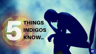 5 Things Only IndigosLightworkers Know [upl. by Ahsiekram]