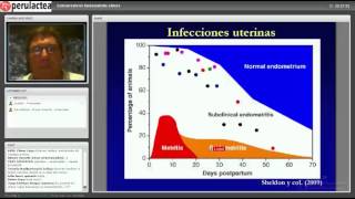 Perulactea EN VIVO Endometritis Clínica en Vacas de Lecheras [upl. by Adnylg]