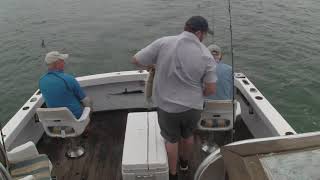 High Flying Great White Shark Leaps From Water Stealing Fishermens Catch [upl. by Luapnhoj678]