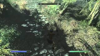 G4G The Elder Scrolls V Skyrim Guía 100  Español Parte 152 Emboscada Nocturna [upl. by Way280]