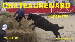 ChateaurenardEncierro25112018Montilles [upl. by Icken]