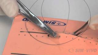 SIM SUTURE  5 Running Simple Sutures [upl. by Mannie950]