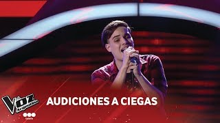 Merdeces Giménez  quotComo la cigarraquot  Mercedes Sosa  Audiciones a ciegas  La Voz Argentina 2018 [upl. by Ley]