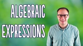 Algebraic Expressions Basics [upl. by Michey]