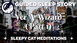 Welcome to Diagon Alley  Yer A Wizard Part 14  Harry Potter Inspired Sleep Story Meditation [upl. by Tacita]