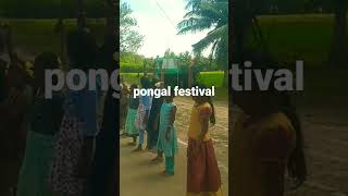 pongal festival [upl. by Anum]