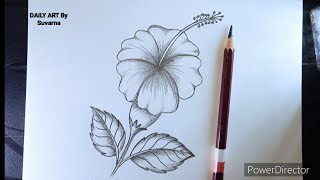 How To Draw a 🌺 Hibiscus Flower  Hibiscus Flower Drawing [upl. by Alameda447]