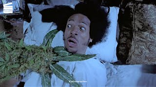 Scary Movie 2 Shorty gets smoked by his own weed HD CLIP [upl. by Enelrad]