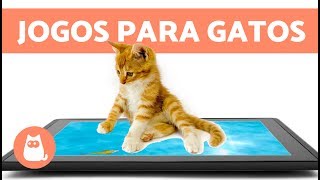 JOGOS PARA GATOS ratos na tela [upl. by Worthington]