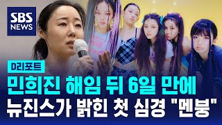 quot한동안 멘붕quot 뉴진스 민희진 해임 후 첫 심경 토로  SBS  D리포트 [upl. by Cila]