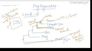 Basics of Phylogenetics  Understanding the nomenclature and types of phylogenetic tree [upl. by Silenay75]