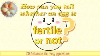 How to draw Unfertilized Egg Ovum [upl. by Arikehs444]