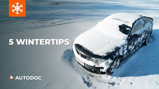 5 autotips voor een winterse dag  TIPS van AUTODOC [upl. by Stout]