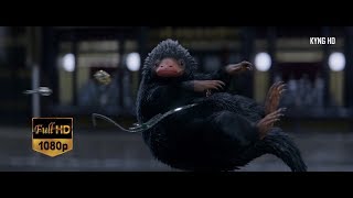 Newt catching Niffler Full HD 1080p [upl. by Moselle499]