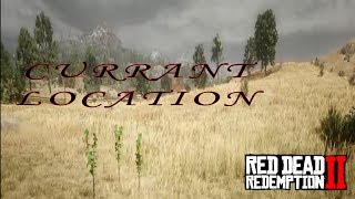 Red Dead Redemption 2  Currant Location Good for Herbalist Challenge 7 [upl. by Anaya814]