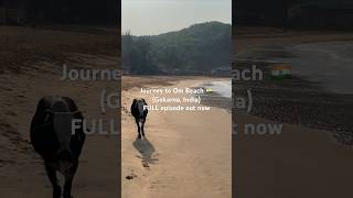 Journey to Om Beach 🇮🇳 Gokarna India [upl. by Ohcirej117]