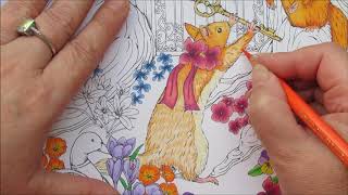 RRAPSODIE in het bos coloring book von Kanoko Egusa  Eichhörnchen [upl. by Georgeanna]