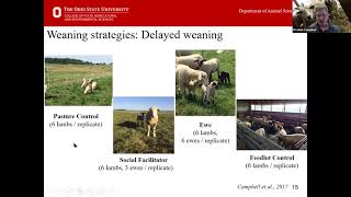 Small Ruminant Webinar 3 culling decisions weaning management amp market outlook [upl. by Attenwad]