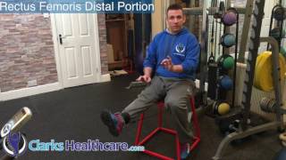 Quadriceps Rectus Femoris Distal Portion Training Exercise Hip raise at the end [upl. by Orvas13]