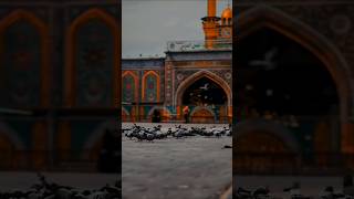 Pls like share and subscribe❤️👌 shia shiastatus shorts karbala shortsfeed [upl. by Zelig357]