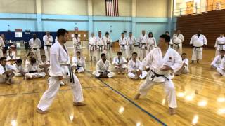 JKA Taniyama Takuya Sensei  Empi Bunkai [upl. by Michal]