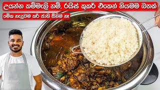 උයන්න කම්මැලිනම් මෙන්න නියම විසදුම  Delicious Rice in Rice Cooker  Easy Rice Recipe [upl. by Selle]