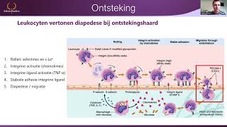 Jaar 2  Schade afweer en herstel  Kennisclip  Milan [upl. by Weston]