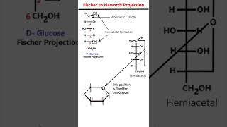 Fischer to Haworth Projection of Glucose animation mnemonic [upl. by Orecul]