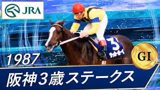 1987年 阪神3歳ステークス（GⅠ）  サッカーボーイ  JRA公式 [upl. by Ailbert]