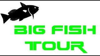 Big fish tour  Grazie fan Che 2014 Alcune delle migliori catture [upl. by Geoff]