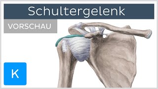 Schultergelenk Anatomie der Knochen Bänder und Muskeln Vorschau  Kenhub [upl. by Reinhart215]