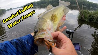 Falling Water Temperatures No Problem Catch Bass With These Tips [upl. by Akinehs]