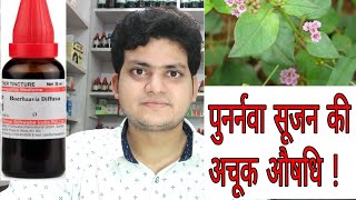 Punarnava  Homeopathic medicine Boerhaavia Diffusa  Sign and symptoms  Disease and doses [upl. by Akiehsal]