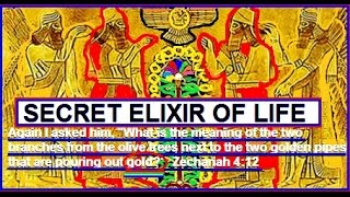 Presented  LIQUID GOLD ELIXIR  from BIBLE and LOST book of ENKI [upl. by Eiramnwad]