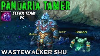 Wastewalker Shu  2 Pet amp Elekk Team [upl. by Eisseb]