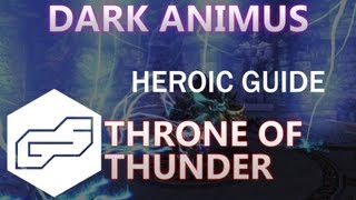 A Guide to Heroic Dark Animus VOX ToT [upl. by Ysied]