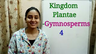 SubDivision Gymnosperms  Biological classification part8  Class XI  Lecture 36 [upl. by Amoeji774]