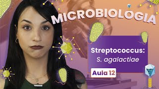 STREPTOCOCCUS Sagalactiae  Videoaula  Microbiologia  Flavonoide 12 [upl. by Milks]