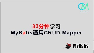 30分钟学习MyBatis通用CRUD Mapper mybatis crud java [upl. by Noloc996]