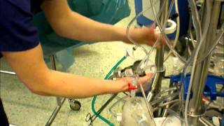 Clinical Perfusion  Setting up heartlung bypass machine [upl. by Drucy]