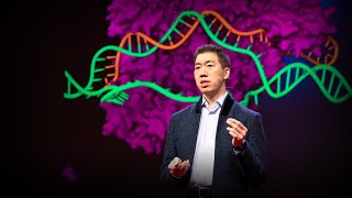 Can we cure genetic diseases by rewriting DNA  David R Liu [upl. by Kimitri]